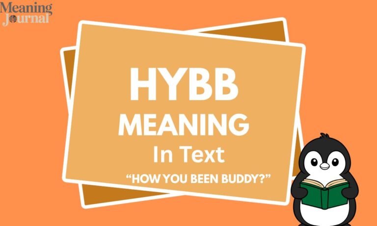 HYBB meaning in text