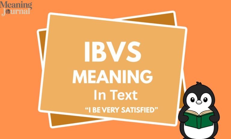 IBVS meaning in text