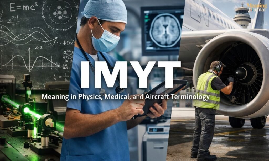 Meaning in Physics, Medical, and Aircraft Terminology