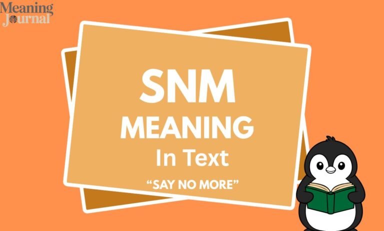 SNM Meaning in Text Hidden Slang You’re Missing