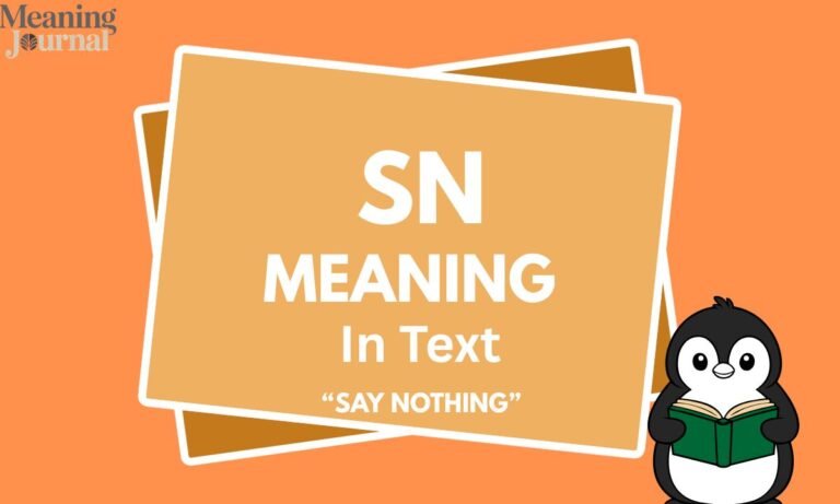 What Does SN Mean in Text Full Explanation & Examples 2026
