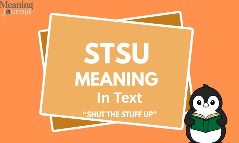 What Does STSU Mean in Text Full Explained Guide 2025
