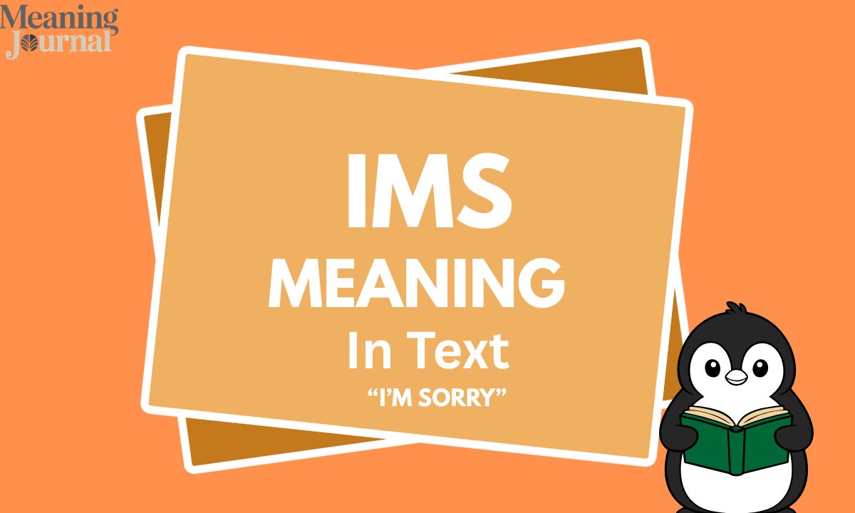 What Does IMS Mean in Text? A Complete Guide for Modern Messaging (2026)