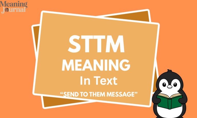 sttm meaning in text