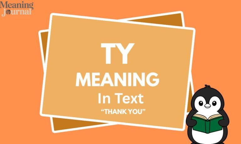 ty meaning in text