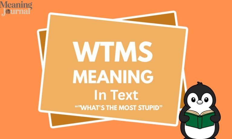 wtms meaning in text