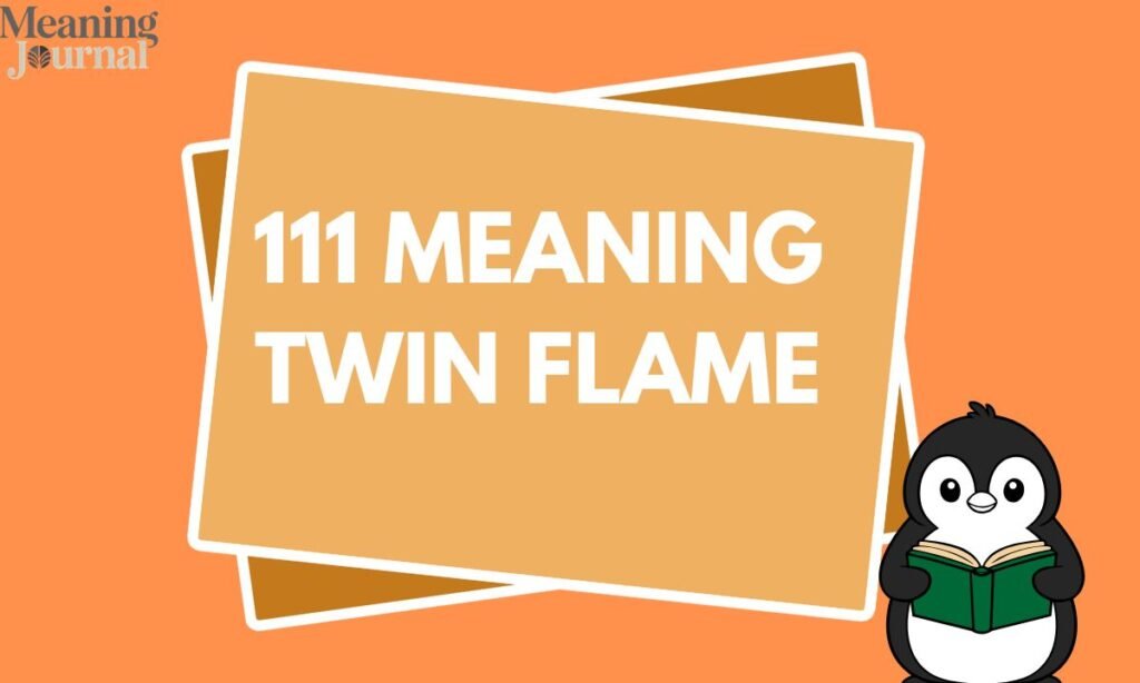 111 meaning twin flame