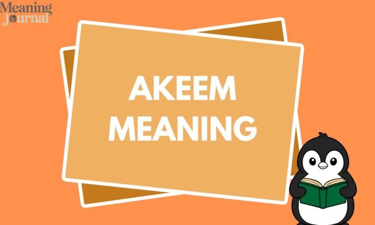 Akeem Meaning