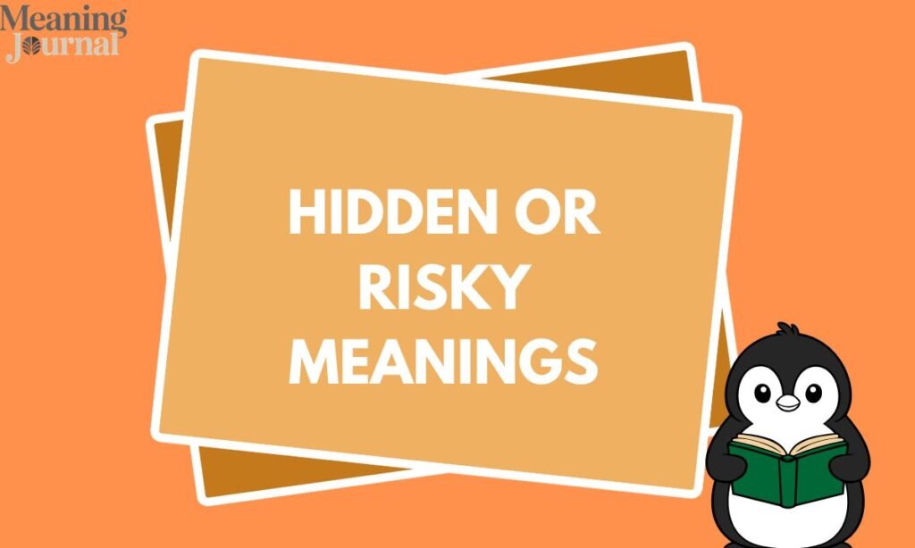 Hidden or Risky Meanings