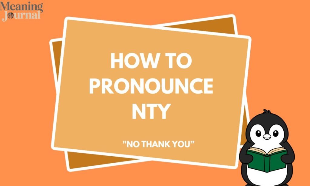 How to Pronounce NTY