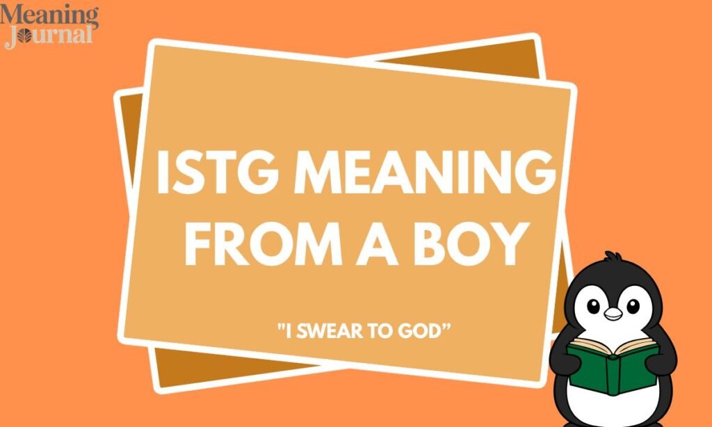 Istg meaning from a boy