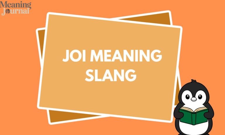 JOI Meaning Slang
