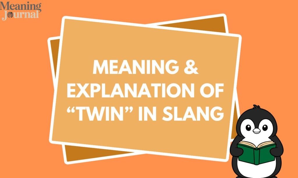 Meaning & Explanation of “Twin” in Slang