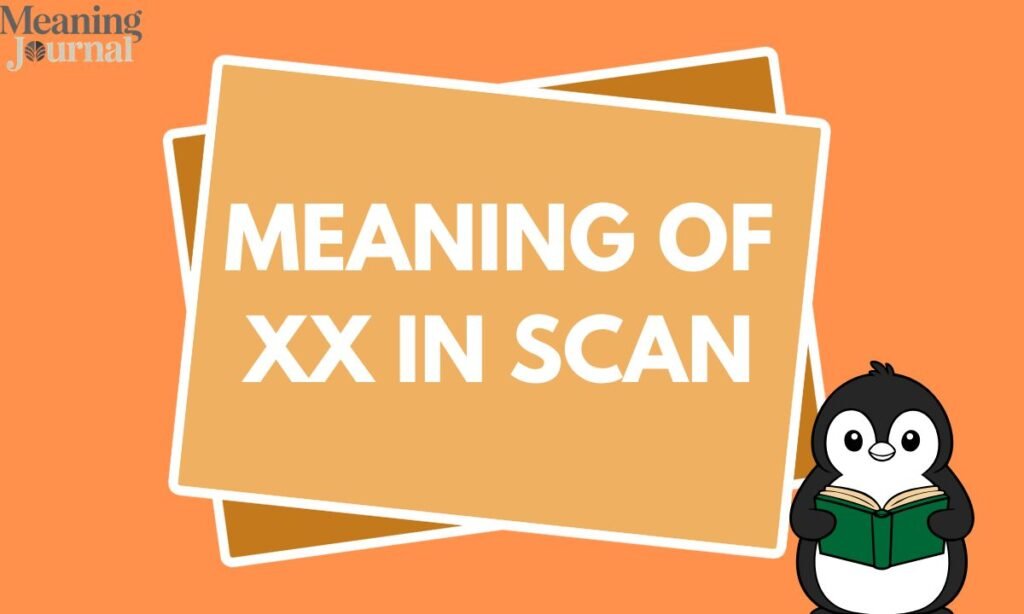 Meaning of XX in scan