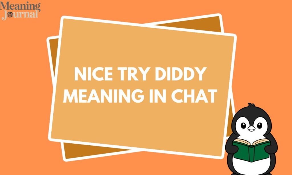 Nice try Diddy meaning in chat