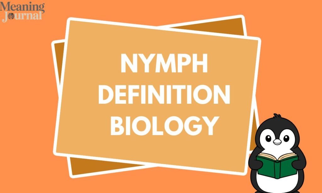 Nymph definition biology