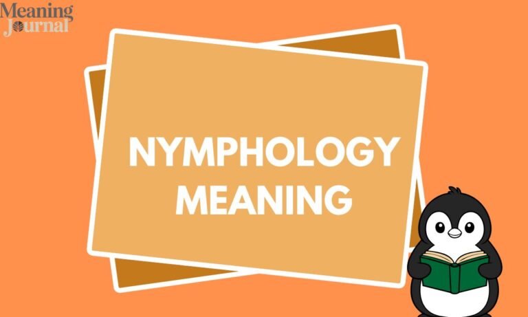 Nymphology Meaning