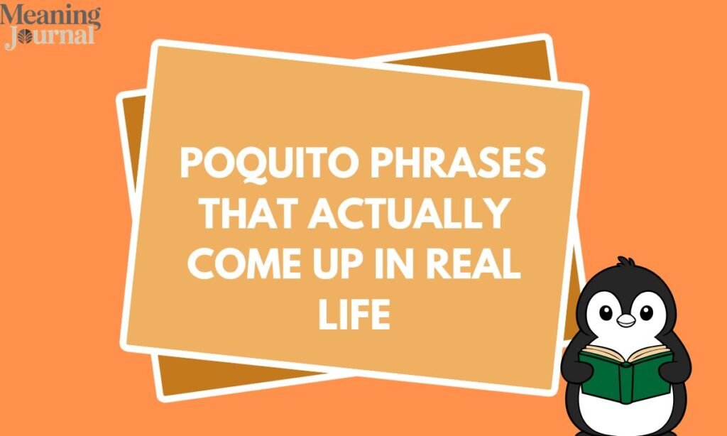 Poquito Phrases That Actually Come Up in Real Life