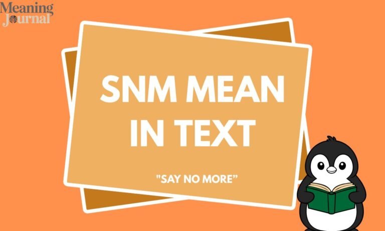 SNM Mean in Text