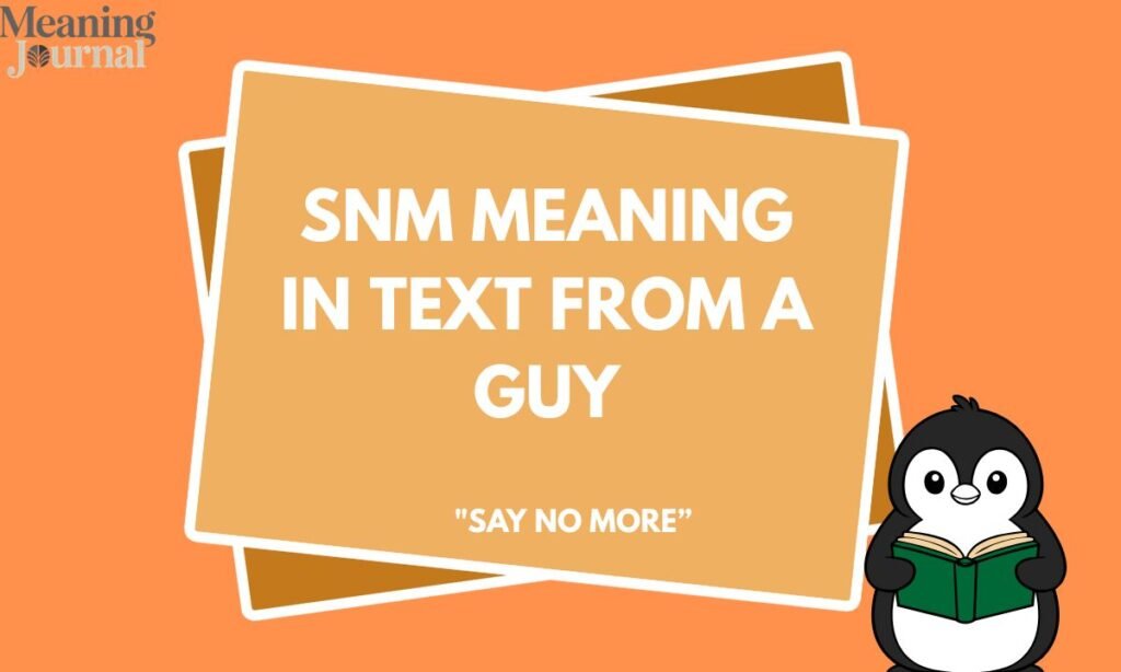 SNM Mean in snm meaning in text from a guy