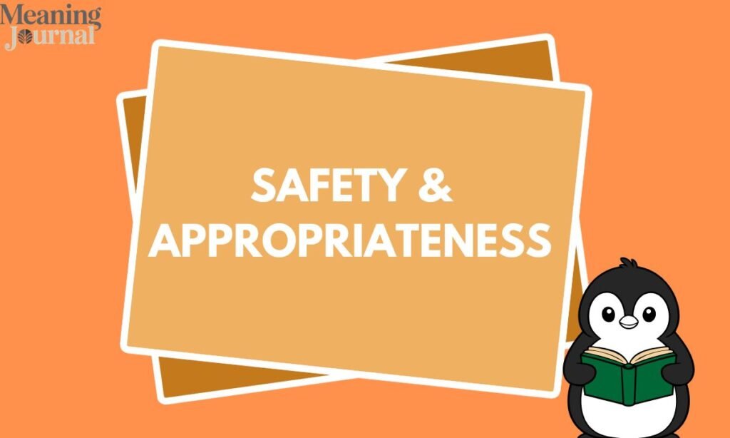 Safety & Appropriateness (2)