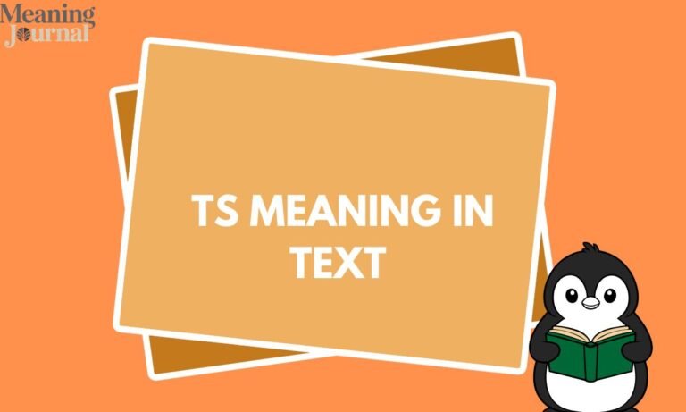 TS Meaning in Text