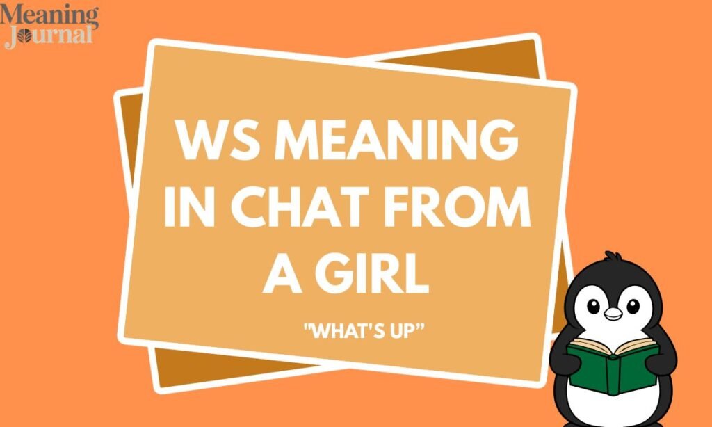 WS Meaning in chat from a girl