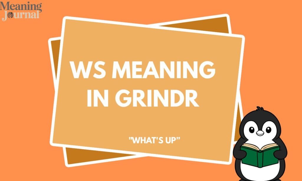 WS meaning in Grindr