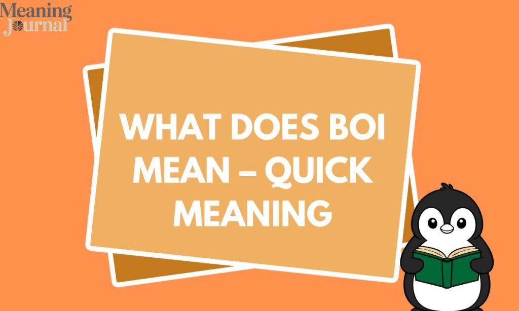 What Does Boi Mean – Quick Meaning