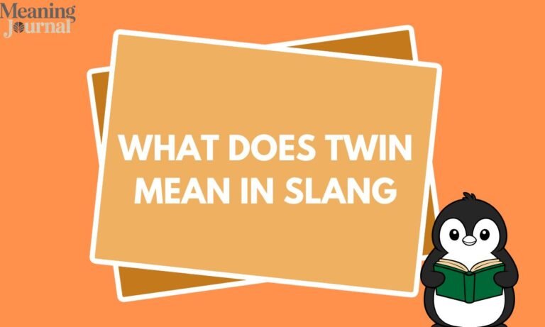 What Does Twin Mean in Slang