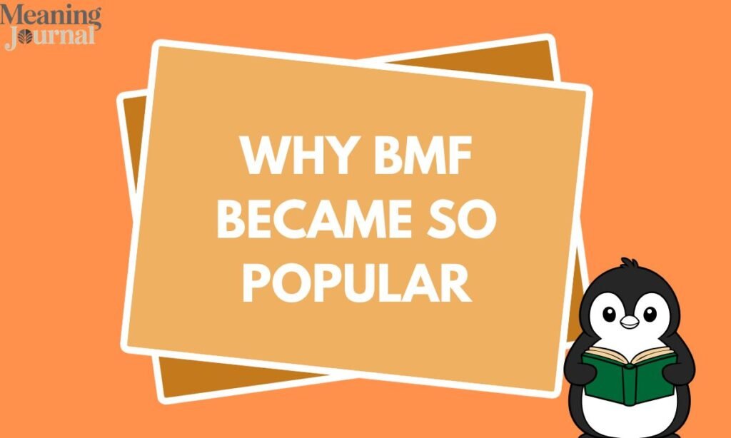 Why BMF Became So Popular