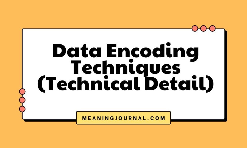 Data Encoding Techniques (Technical Detail)