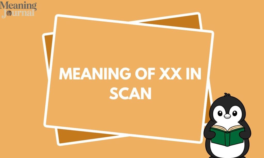 Meaning of XX in scan