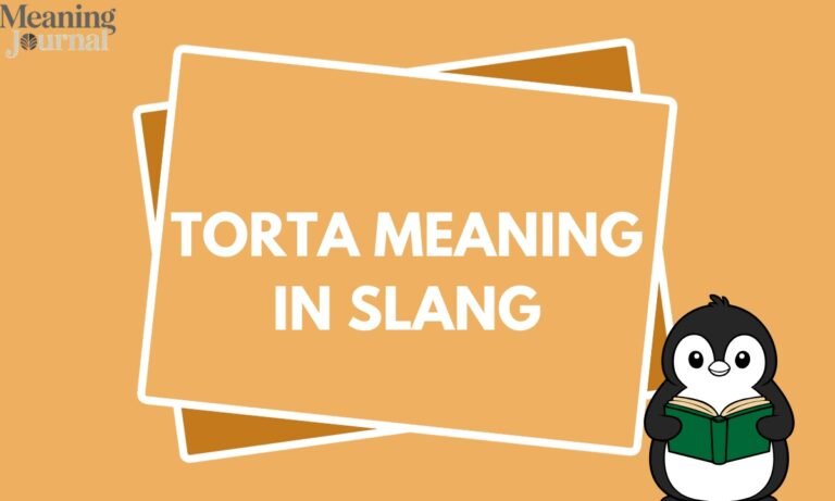 Torta Meaning in Slang